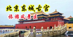 BT视频在线在线啊啊啊操我好爽中国北京-东城古宫旅游风景区